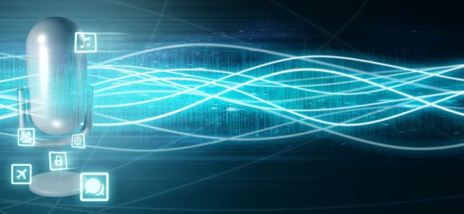IP Connexion Voix