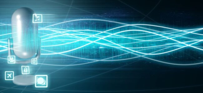 IP connexion voix